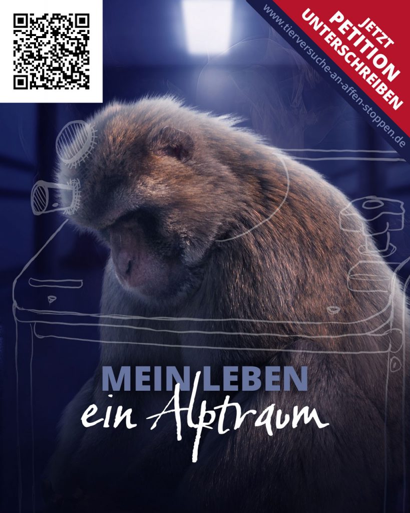 Flyer zur Bundestagspetition 2025 – Tierversuche an Affen stoppen