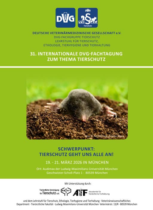 Titelseite des Programms zur 31. Internationalen DVG-Fachtagung Tierschutz 2026 in München mit Maulwurf-Motiv