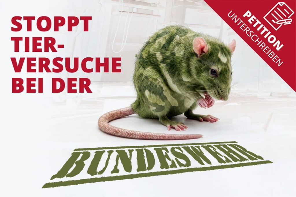 Kampagnengrafik gegen Tierversuche bei der Bundeswehr mit Ratte im Tarnmuster und Hinweis auf die Petition von Ärzte gegen Tierversuche