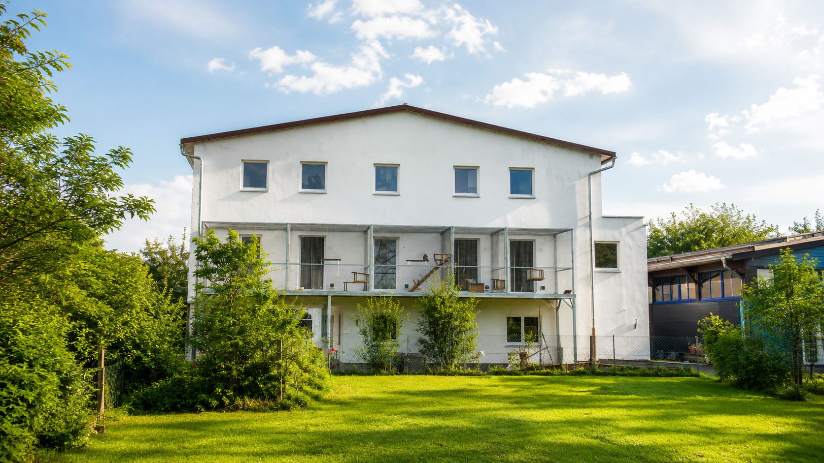 ATTiS Katzenstation in Augsburg-Lechhausen beim Tag der offenen Tür 2026