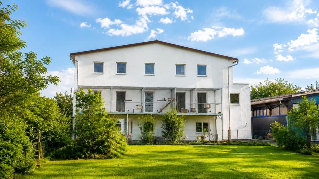 ATTiS Katzenstation in Augsburg-Lechhausen – Spenden ermöglichen bessere Bedingungen für den Tierschutz