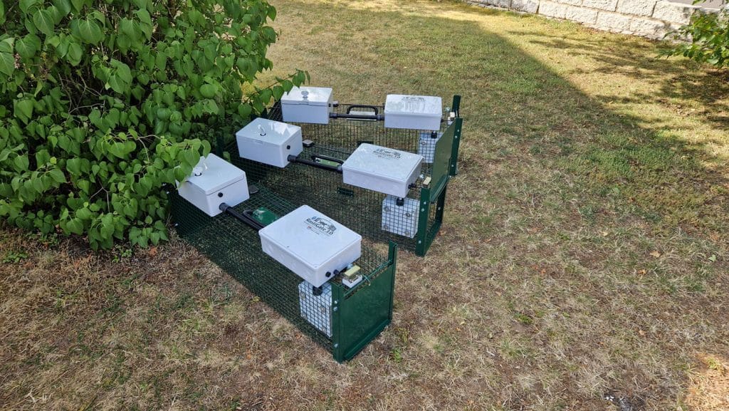 RastiGate 3.0 Lebendfallen mit RFID-Technik für Katzen